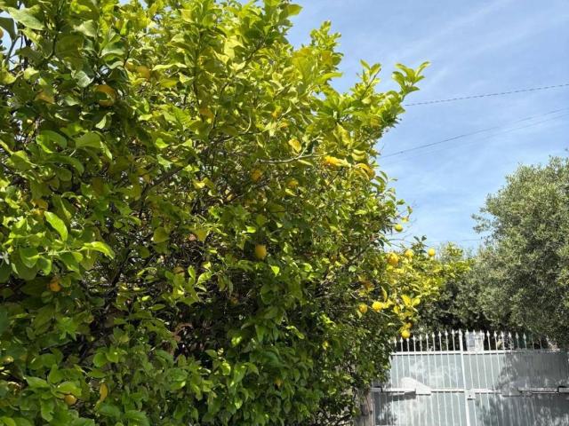 Appartamento in vendita a Albisola Capo, Albisola Superiore