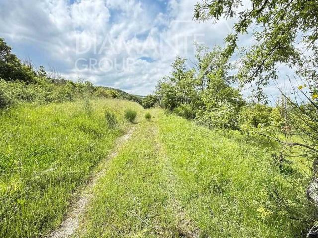 Rustico in vendita a Allerona, Umbria