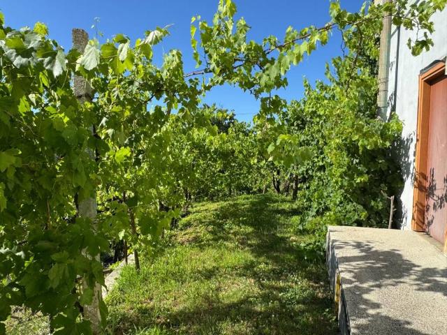 Appartamento in vendita a Marche, Fermo