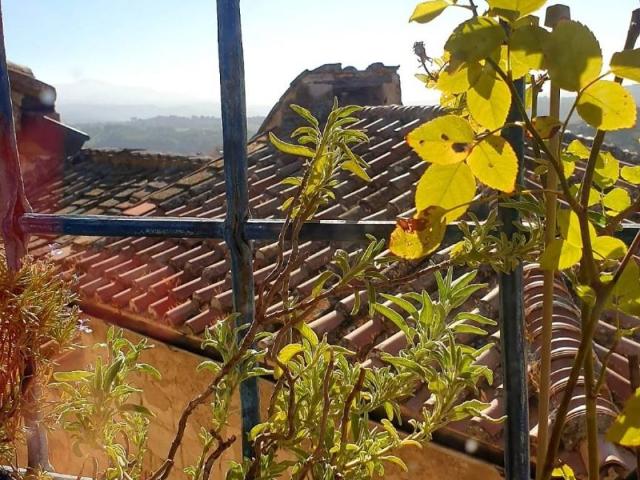 Appartamento in vendita a Amelia, Umbria