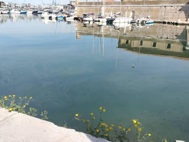 Appartamento in vendita a Archi, Marche