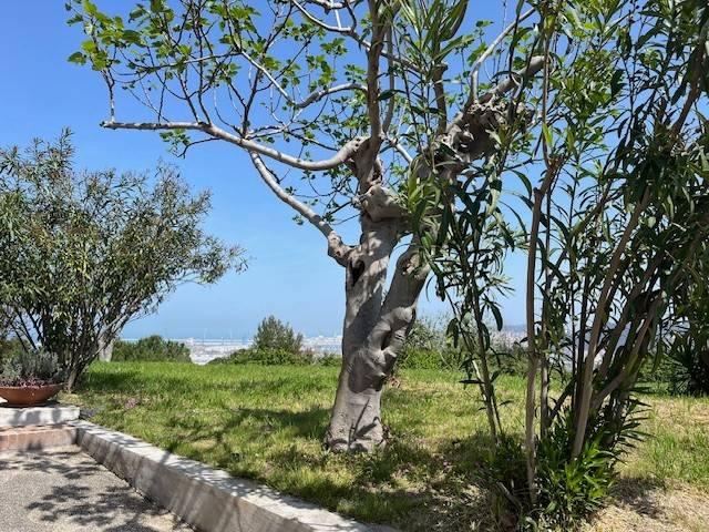 Appartamento in vendita a Marche, Ancona