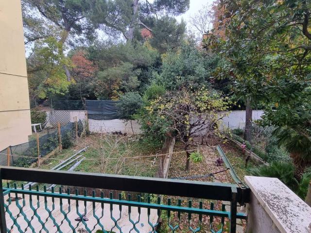 Appartamento in vendita a Marche, Ancona