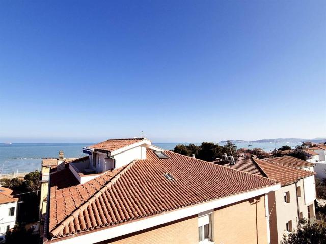 Appartamento in vendita a Marche, Ancona