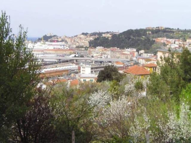 Appartamento in vendita a Marche, Ancona