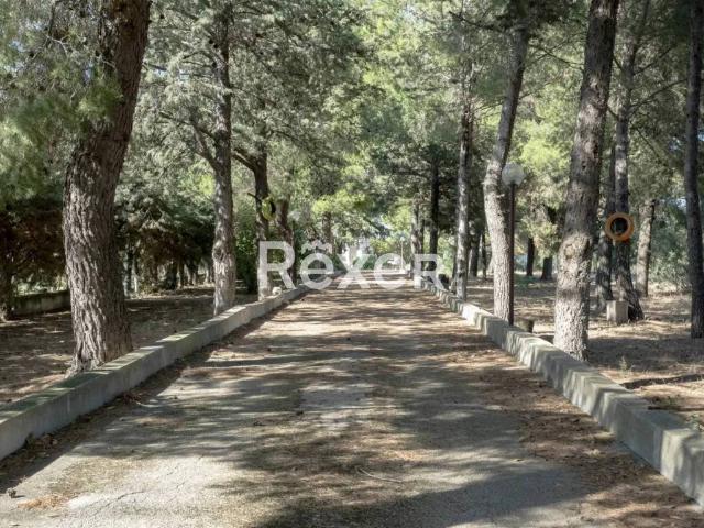 Appartamento in vendita a Puglia, Barletta-andria-trani