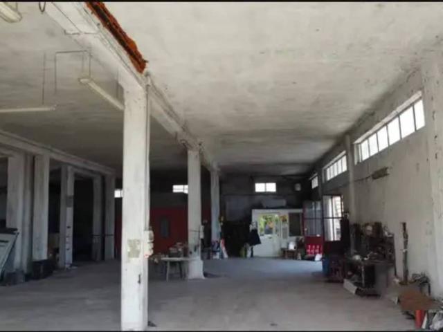 Appartamento in vendita a Calvi, Campania