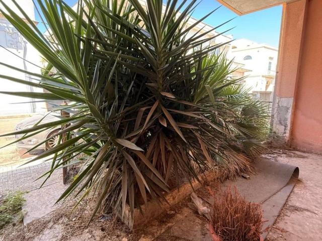 Appartamento in vendita a Puglia, Lecce