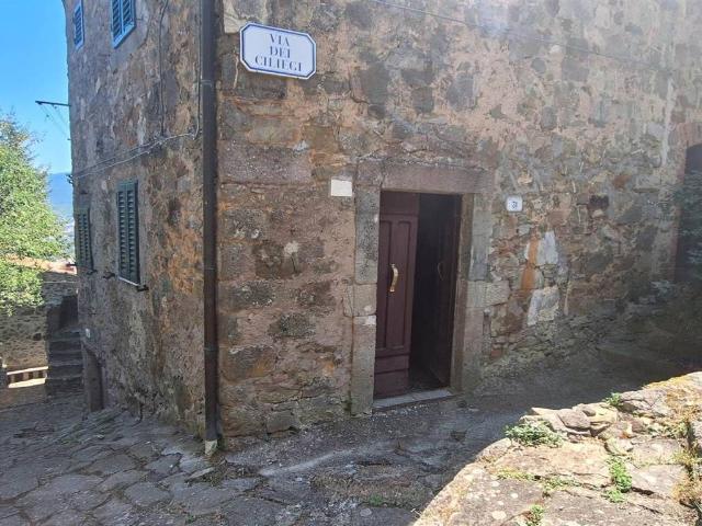 Appartamento in vendita a Unione dei Comuni Montani Amiata Grossetana, Arcidosso