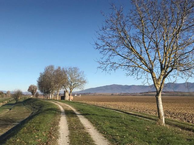 Appartamento in vendita a Civitella in Val di Chiana, Palazzo Del Pero
