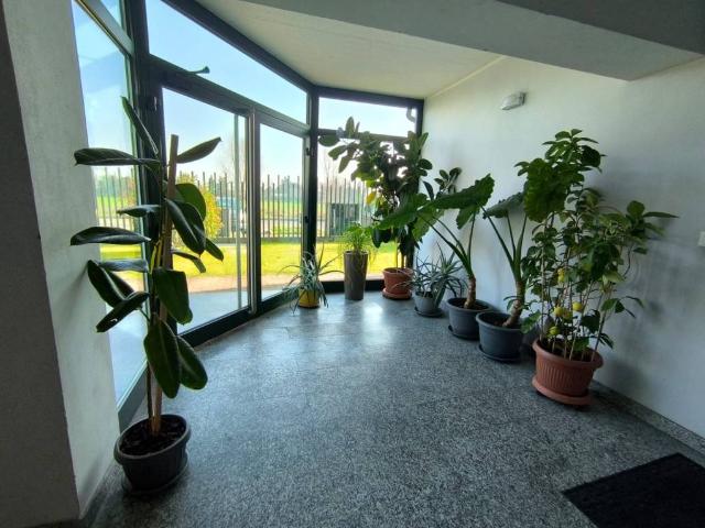 Appartamento in vendita a Arluno, Lombardia