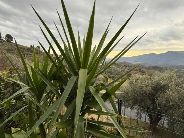 Appartamento in vendita a Arnasco, Liguria