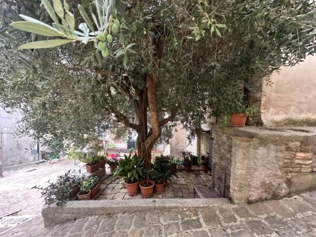 Appartamento in vendita a Casteldilago, Arrone
