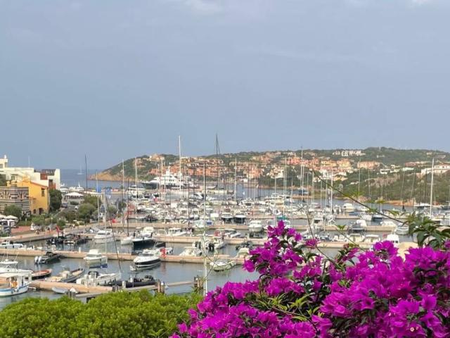 Appartamento in vendita a Alzachèna/Arzachena, Porto Cervo