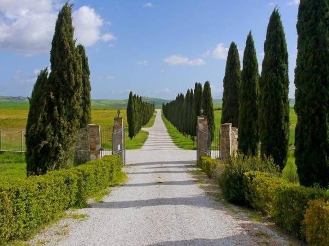 Appartamento in vendita a Asciano, Toscana