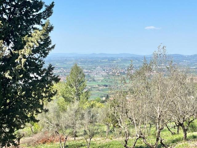 Appartamento in vendita a Assisi, Umbria