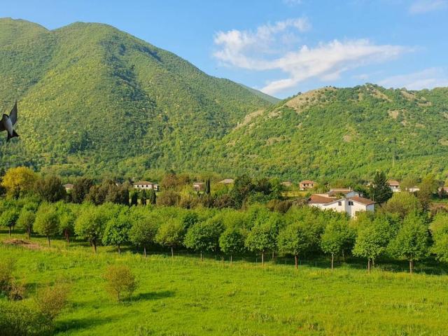 Appartamento in vendita a Atina Inferiore - Ponte Melfa, Atina