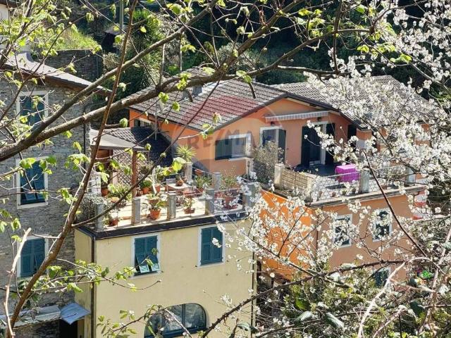 Appartamento in vendita a Avegno