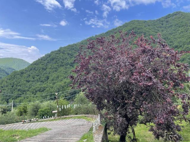 Appartamento in vendita a Avegno, Salto