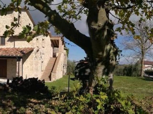 Rustico in vendita a Avigliano Umbro, Terni