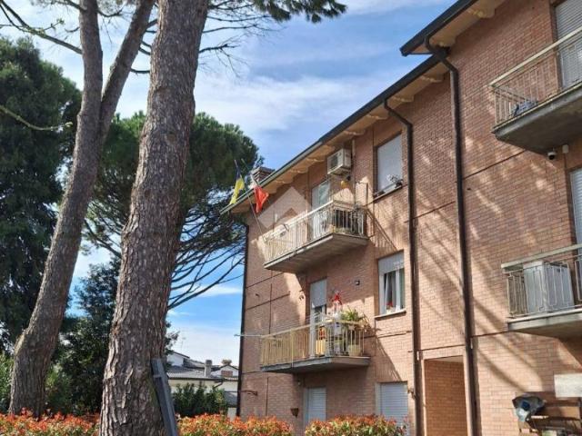 Appartamento in vendita a Unione dei comuni della Bassa Romagna, Bagnacavallo