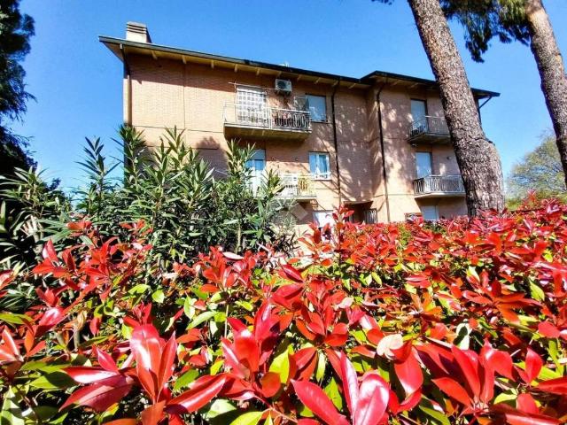 Appartamento in vendita a Unione dei comuni della Bassa Romagna, Bagnacavallo