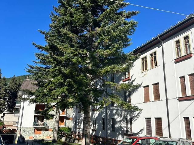 Appartamento in vendita a Bardonecchia, Torino