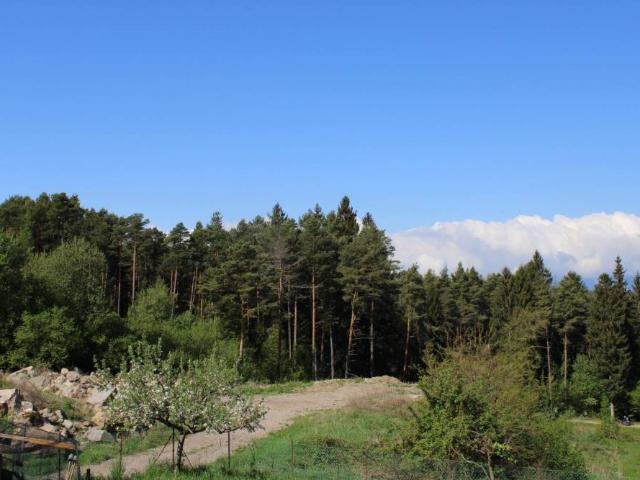 Appartamento in vendita a Comunità Alta Valsugana e Bersntol, Baselga Di Piné