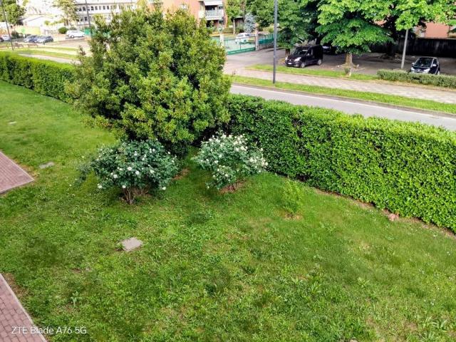 Appartamento in vendita a Borgaretto, Beinasco