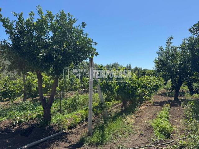 Appartamento in vendita a Bellona, Campania