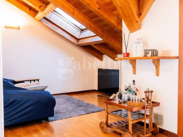 Appartamento in vendita a Anconetta, Zoldo Alto
