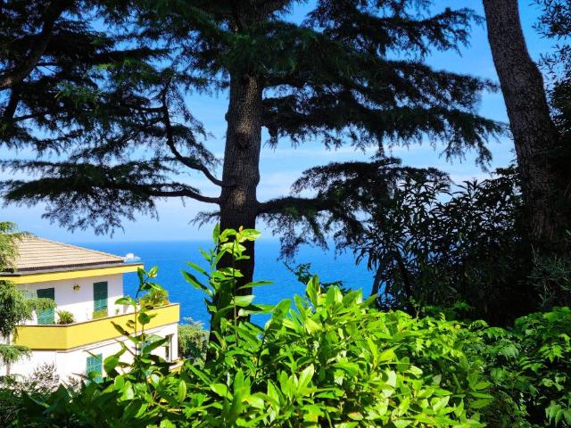 Appartamento in vendita a Costa dei Ginestri, Bergeggi