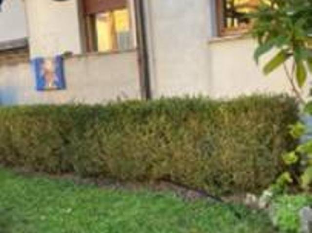 Appartamento in vendita a Bibbiena, Toscana