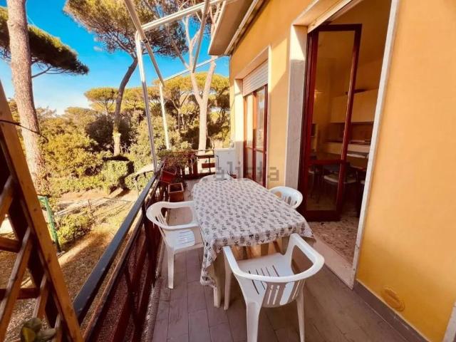 Appartamento in vendita a Bibbona, Toscana