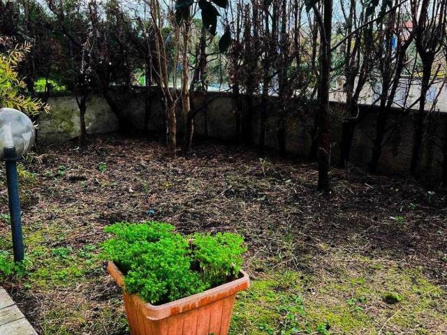 Appartamento in vendita a Bibbona, Toscana