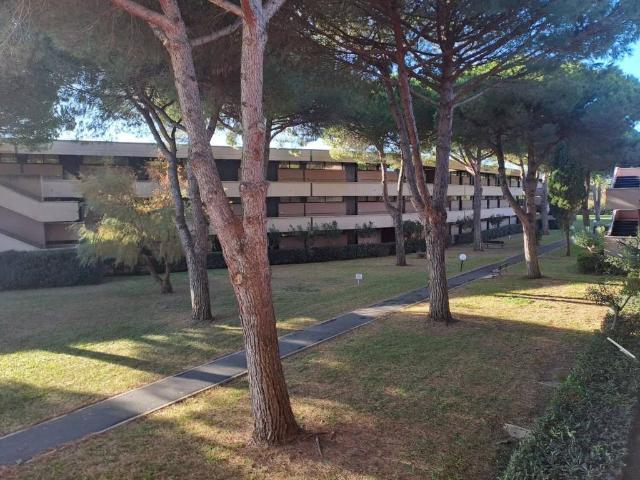 Appartamento in vendita a Bibbona, Toscana