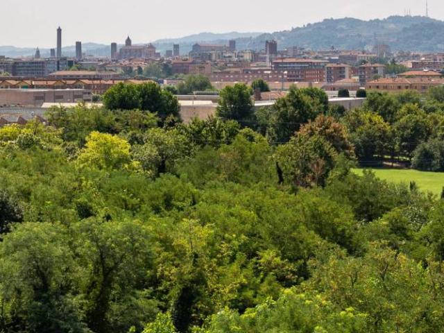 Appartamento in vendita a Beverara, Bologna