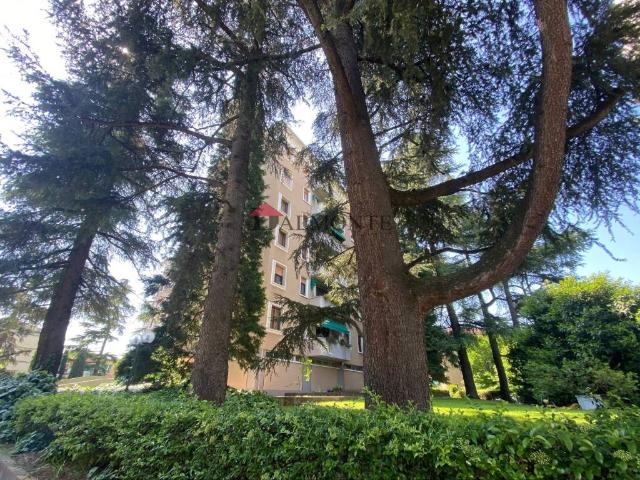 Appartamento in vendita a San Donato-San Vitale, Bologna