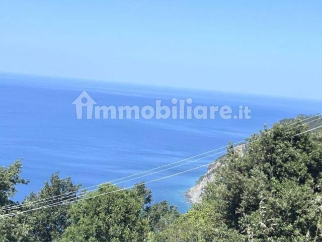 Appartamento in vendita a Bonassola, Liguria