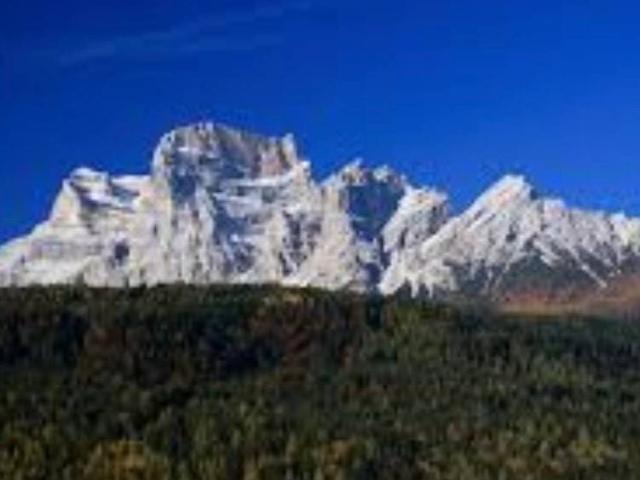 Appartamento in vendita a Villanova, Borca Di Cadore