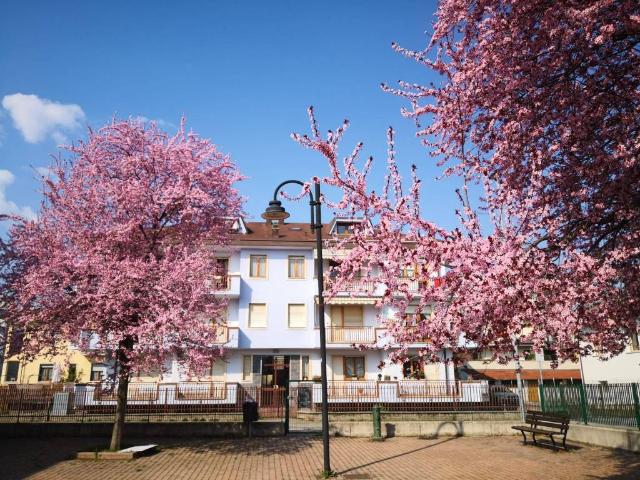 Appartamento in vendita a Borgo San Dalmazzo, Cuneo