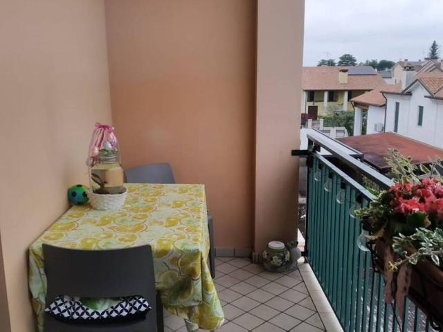 Appartamento in vendita a Borgoricco, Veneto