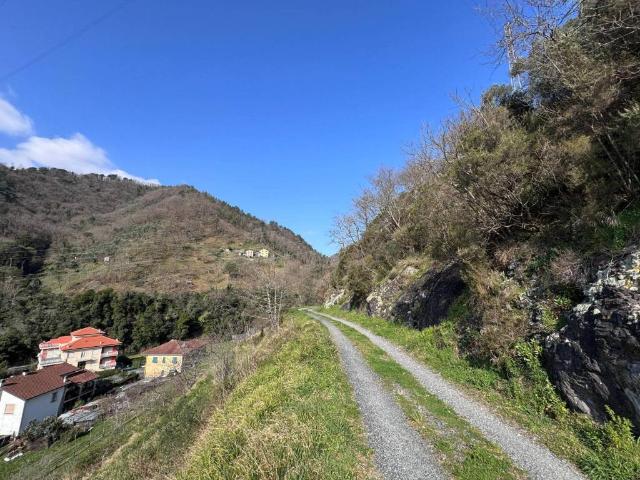 Appartamento in vendita a Pianazzo, Borzonasca