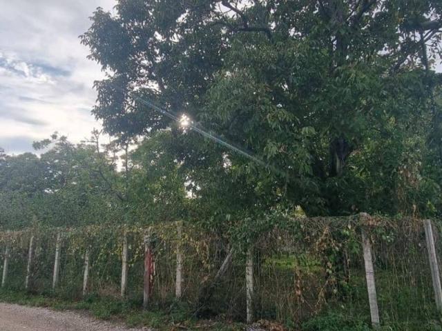 Appartamento in vendita a Brusciano, Napoli