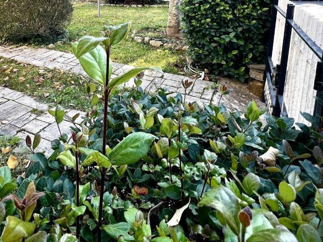 Appartamento in vendita a Quartiere Grattacielo, Buonconvento
