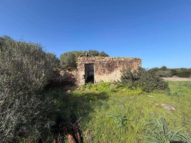Rustico in vendita a Calasetta, Sardigna/Sardegna