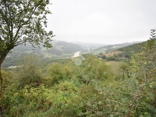 Rustico in vendita a Ramiano, Calestano