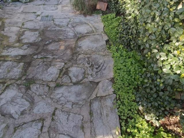 Appartamento in vendita a Camaiore, Toscana