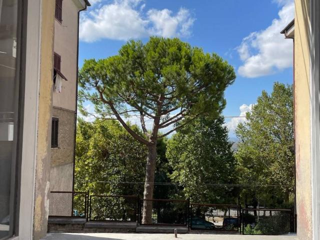 Appartamento in vendita a Marche, Ancona