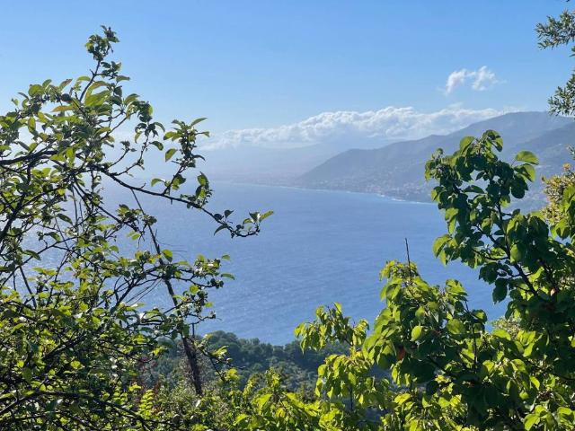 Appartamento in vendita a Alega, Camogli